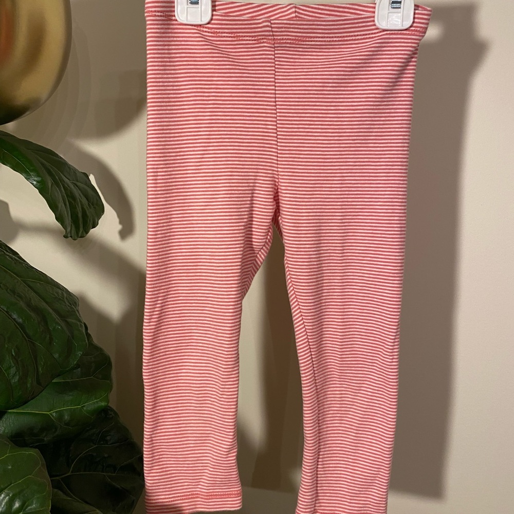 Tea collection crop legging